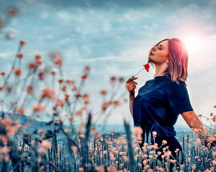 Cover C(2865) (2865) (3045) (3045) (3045) (3045) (3045) (2867) (2867) (2867) (2867) (2867) (2867) (2880)