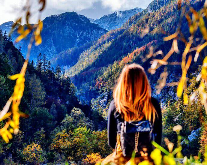 Cover C(3228) (3228) (3408) (3408) (3408) (3408) (3408) (3230) (3230) (3230) (3230) (3230) (3230) (3243) (3244)