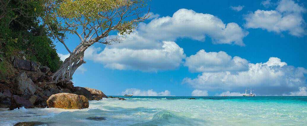 Blick auf das Meer, und neben dem Meer ist eine Insel, wo ein Baum zum Wasser neigt