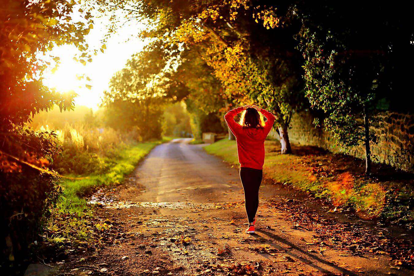 Cover c(1125) (1125) (1305) (1305) (1305) (1305) (1305) (1127) (1127) (1127) (1127) (1127) (1127) (1140) (1141) (1155) (1155) (1155) (1167)