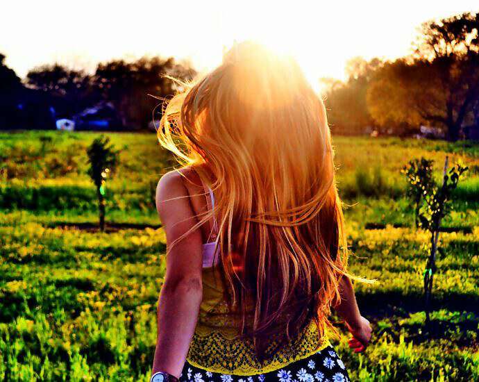 Cover C(2025) (2025) (2205) (2205) (2205) (2205) (2205) (2027) (2027) (2027) (2027) (2027) (2027) (2040) (2041) (2055) (2055)