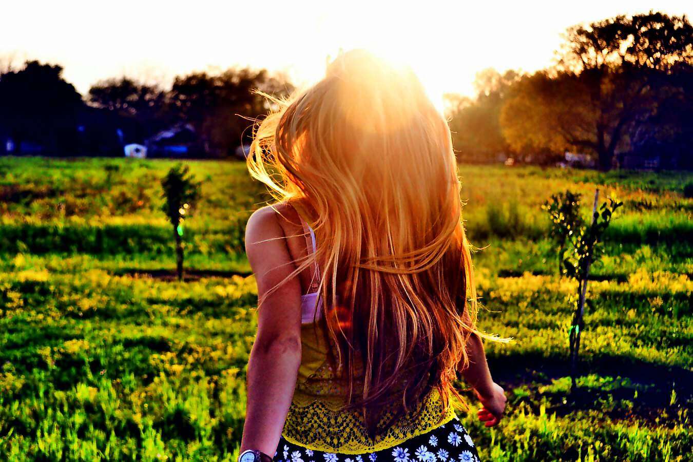 Cover C(2025) (2025) (2205) (2205) (2205) (2205) (2205) (2027) (2027) (2027) (2027) (2027) (2027) (2040) (2041) (2055) (2055)