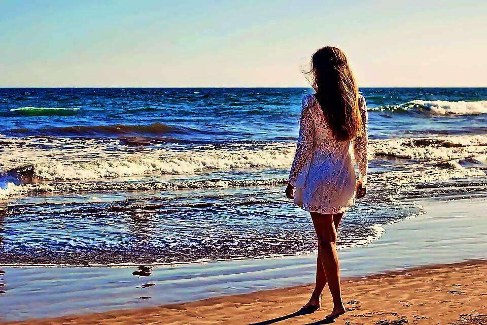 Cover c(2199) (2199) (2379) (2379) (2379) (2379) (2379) (2201) (2201) (2201) (2201) (2201) (2201) (2214) (2215) (2229) (2229) (2229) (2241)