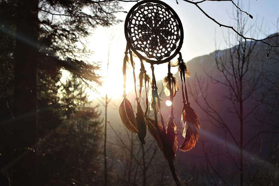 Ein Traumfänger hängt in der Natur an einem Baum.