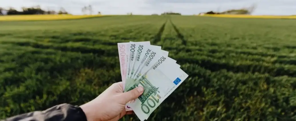 Pexels Photo 4497591