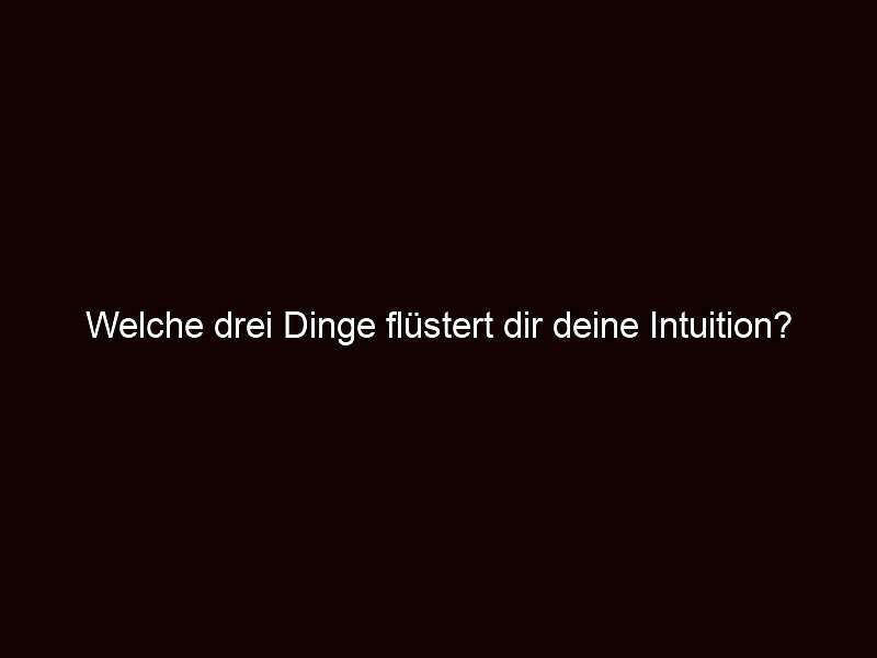 Welche drei dinge flüstert dir deine intuition?