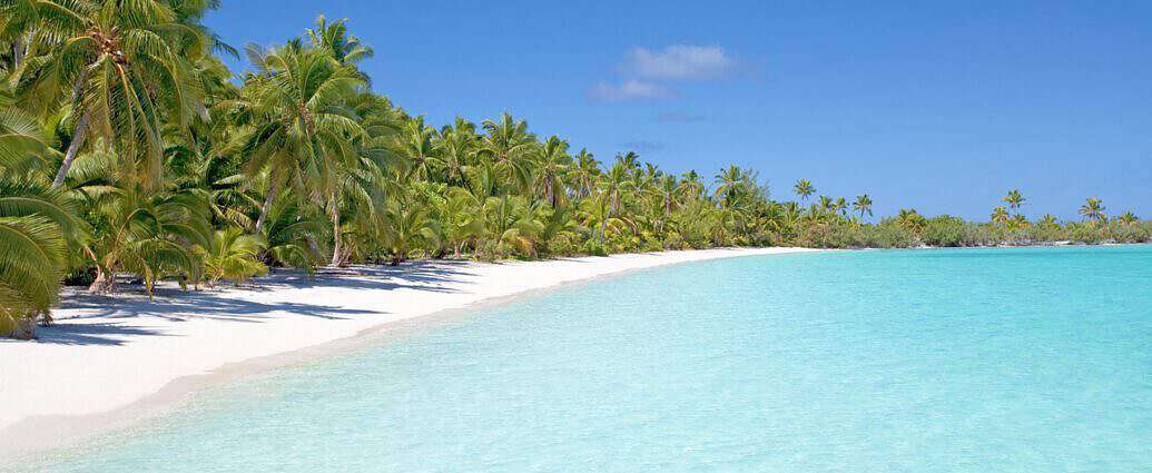 Ein Bild von einem Strand mit weißem Sand, Palmen und einem wunderschönen Meerblick.