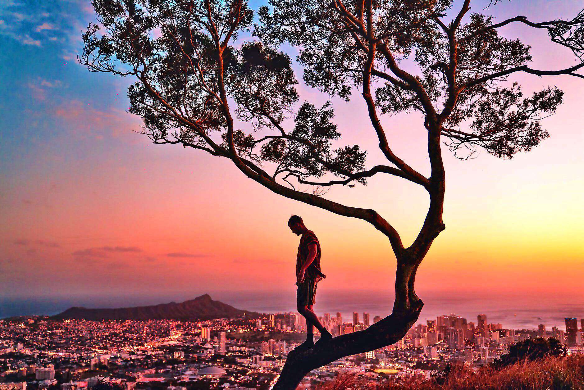 Ein Mann steht auf einem Baumstamm in der Abendsonne und schaut verträumt zu Boden.