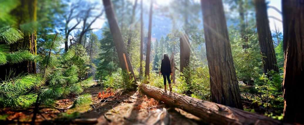 Eine junge Frau steht auf einem Baumstamm im Wald.