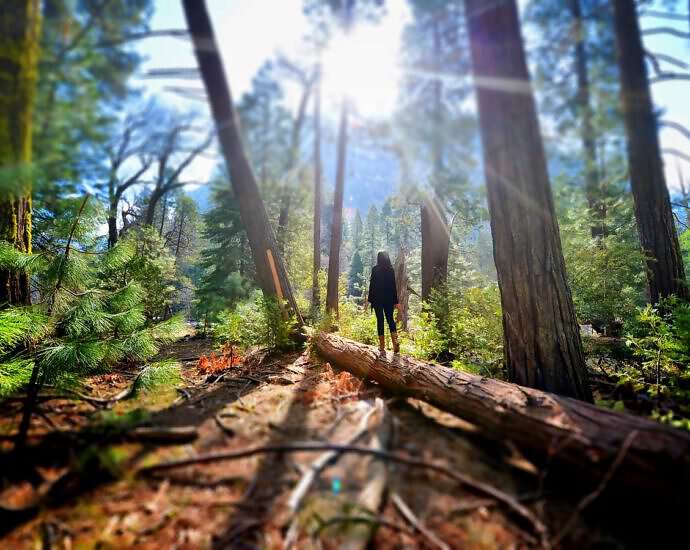 Eine junge Frau steht auf einem Baumstamm im Wald.
