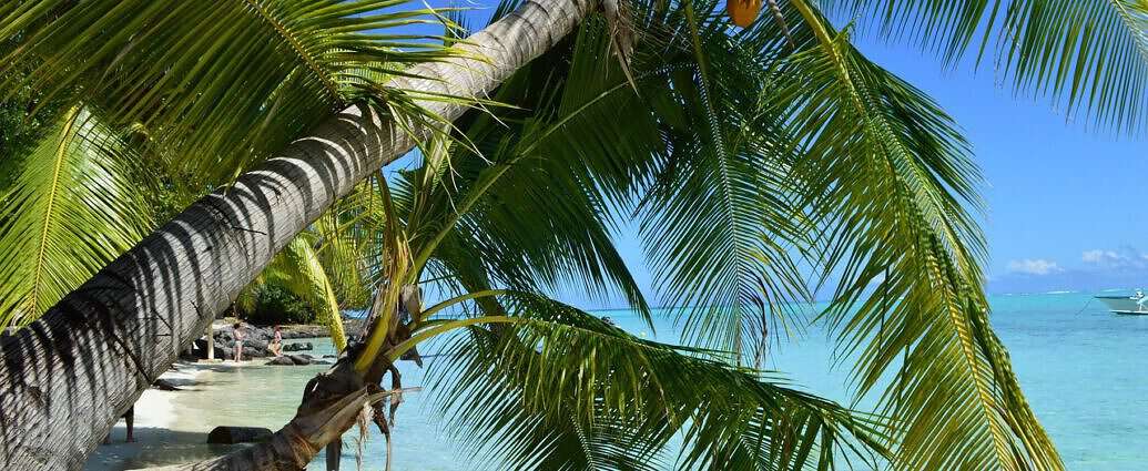 Ein Bild von Matira Beach auf Bora Bora in Französisch-Polynesien mit Palmen, Strand und Meer.
