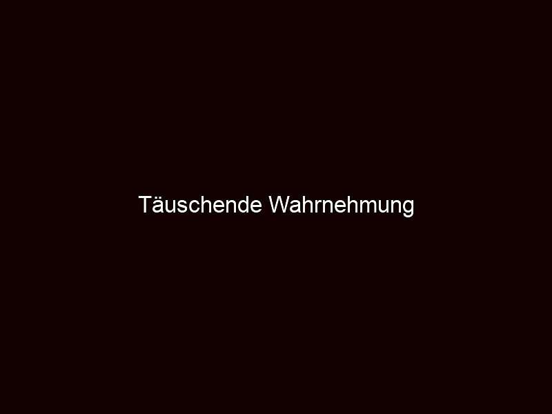 Täuschende Wahrnehmung