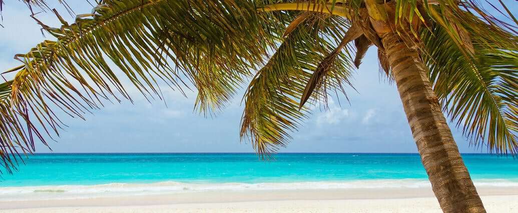 Ein Bild von Palmen, Strand und Meer auf Magens Bay, St. Thomas.