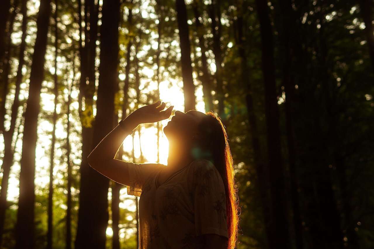 Eine junge Frau steht leicht im Schatten eines Waldes, durch dessen Baumkronen die Sonne scheint.