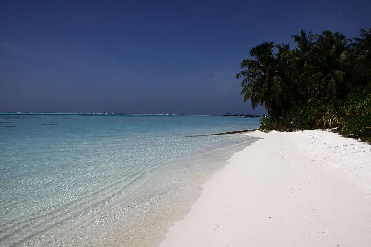 Ein Bild von einem der schönen Strände der Malediven mit Ausblick auf das Meer und wunderschöne Palmen.
