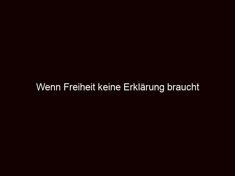Wenn freiheit keine erklärung braucht
