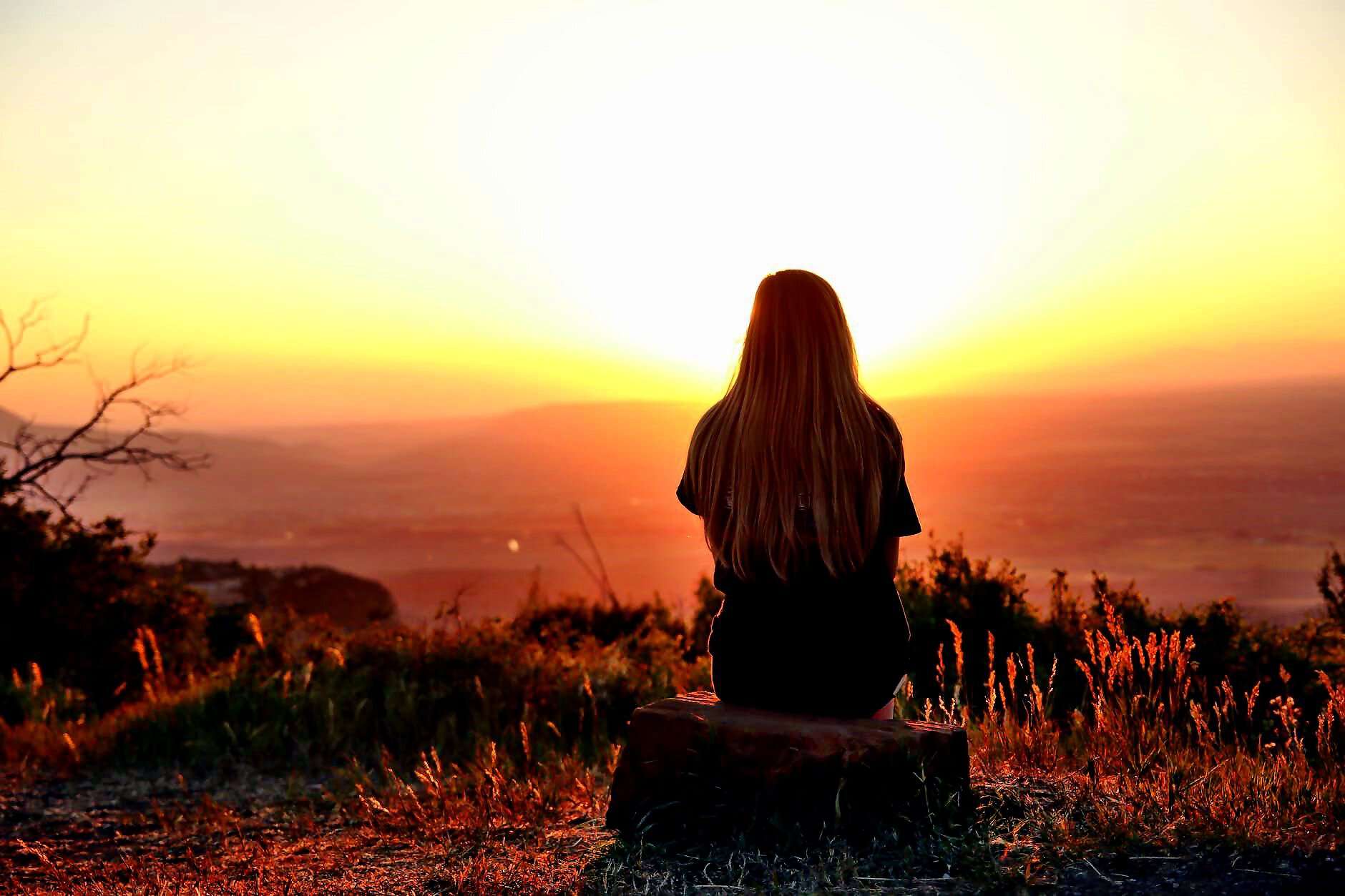 Bild für Blog (2172)