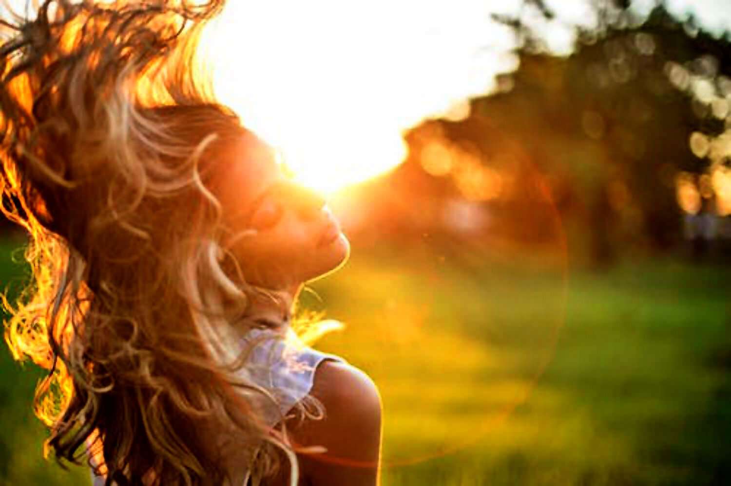 Bild für blog (2351)