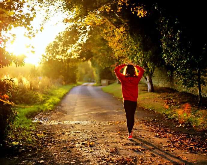 Bild für Blog (2451)