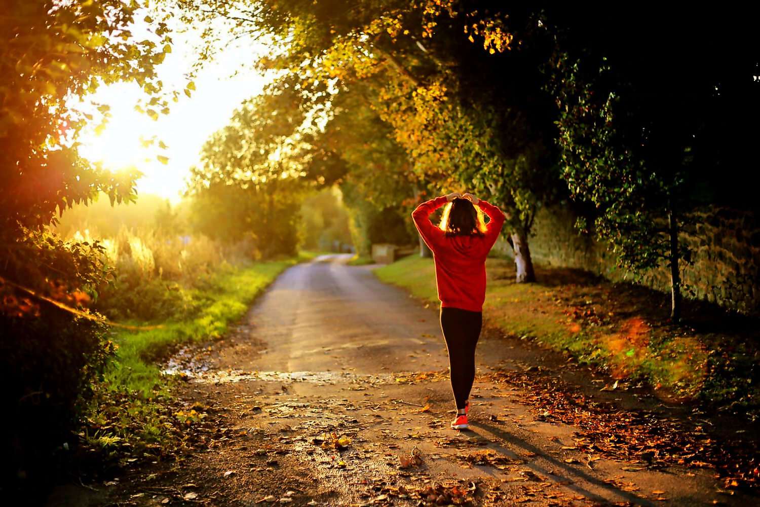 Bild für Blog (2451)