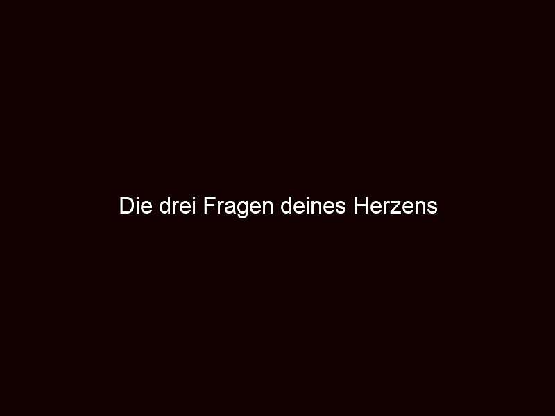 Die drei Fragen deines Herzens 