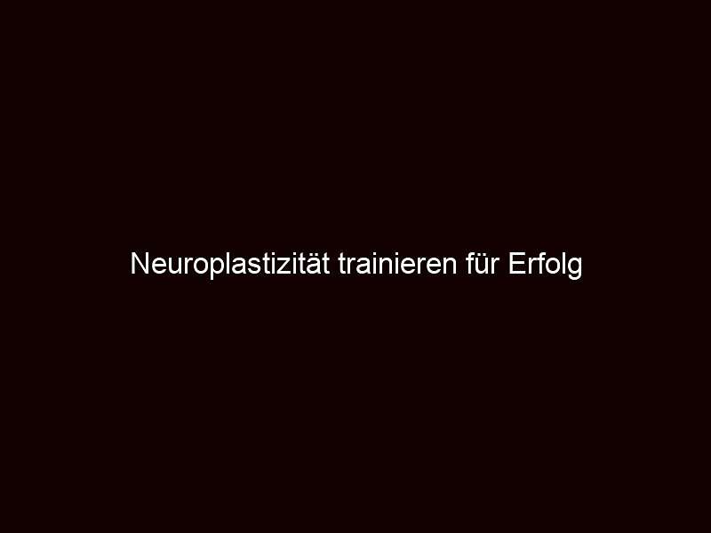 Neuroplastizität trainieren für Erfolg 