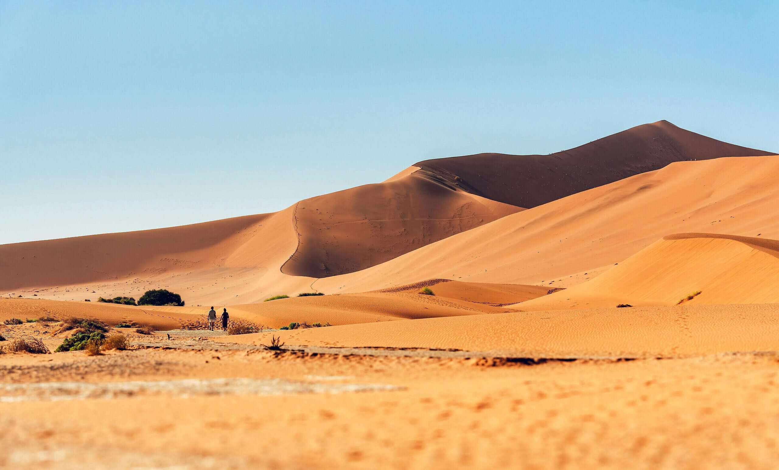 Hier ist ein Bild der Roten Sanddünen von Sossusvlei in Namibia.