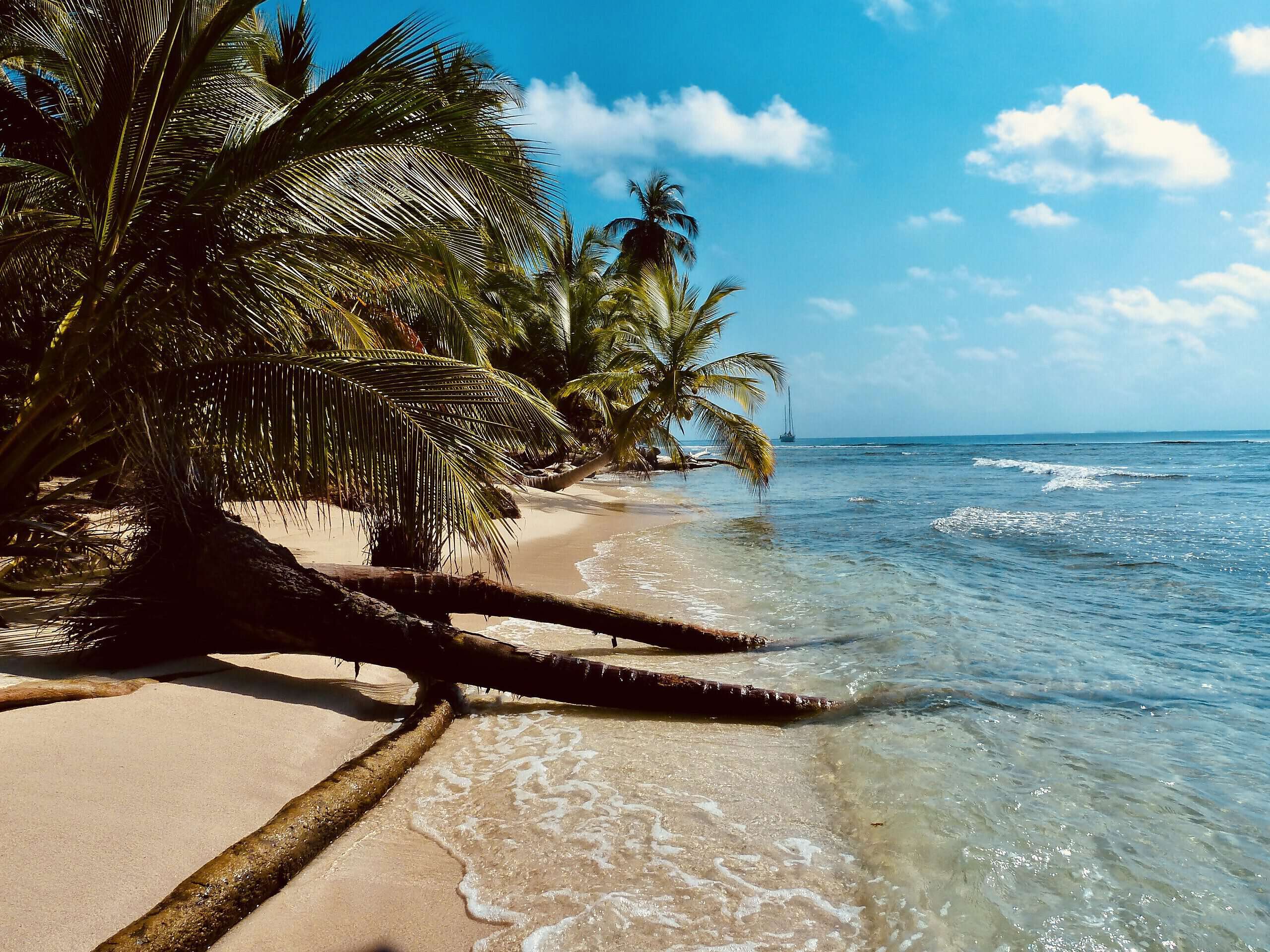 Wed jan 12 2022 12 47 55 gmt+0100 (mitteleuropäische normalzeit)