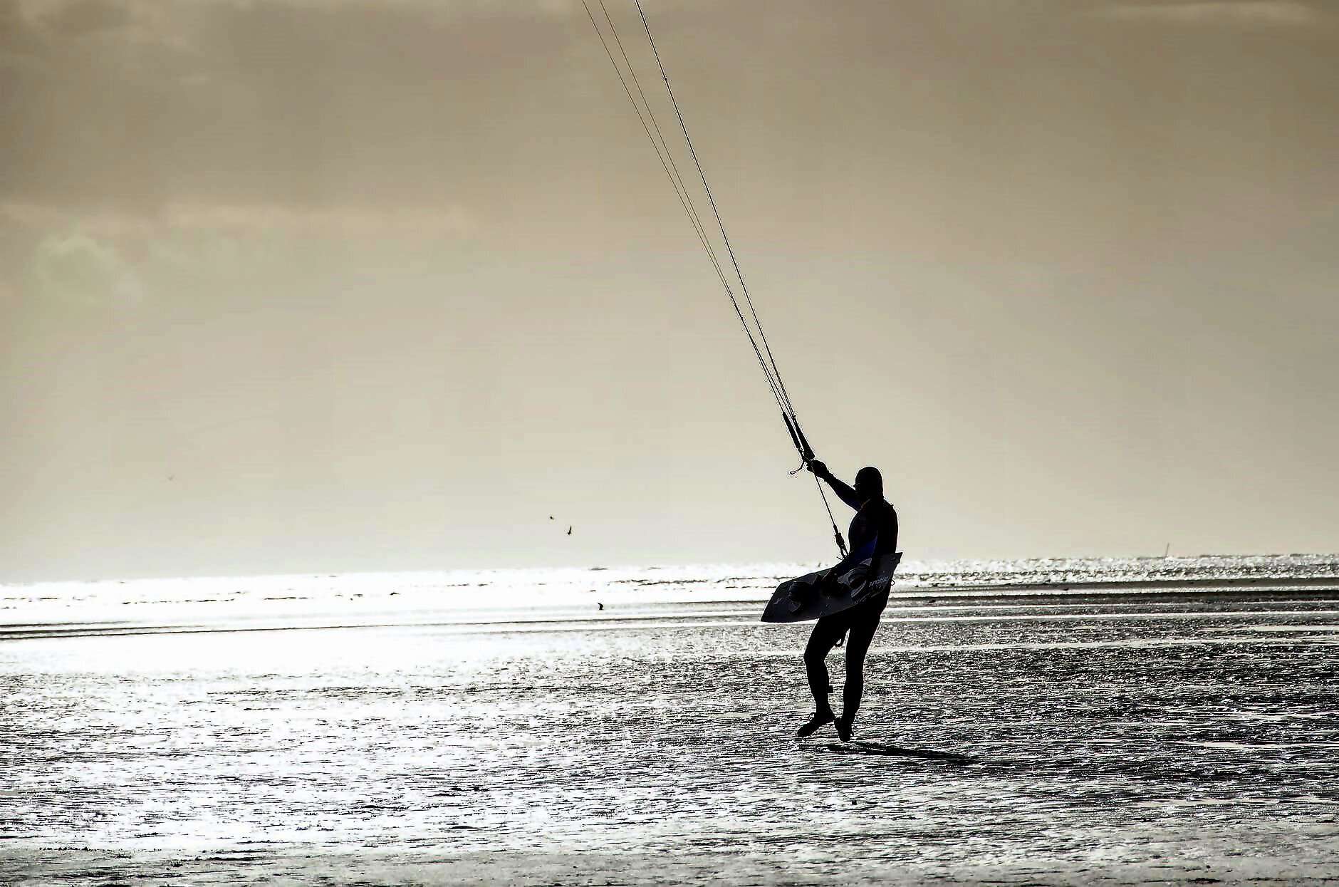 Bild für Blog (2065)