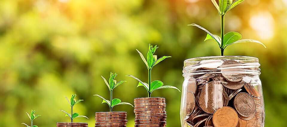 Bild für Blog (3265)