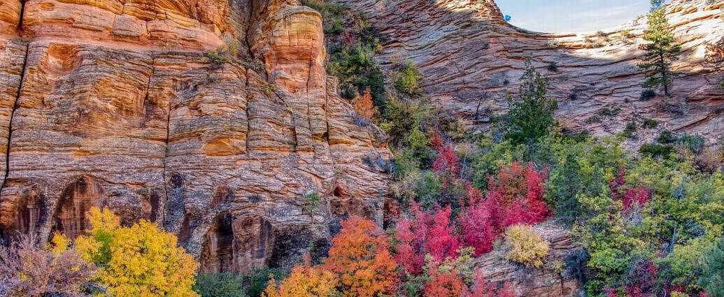 Ein Bild von den Bergen eines Nationalparks in Amerika.