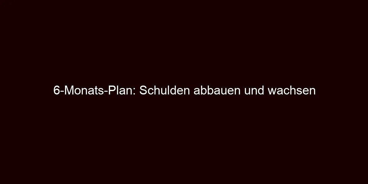 6 Monats Plan: Schulden abbauen und wachsen