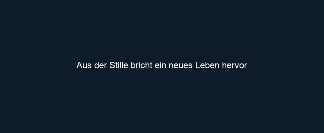 Aus der Stille bricht ein neues Leben hervor