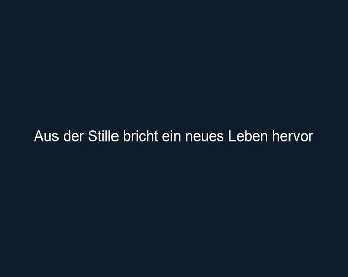 Aus der Stille bricht ein neues Leben hervor