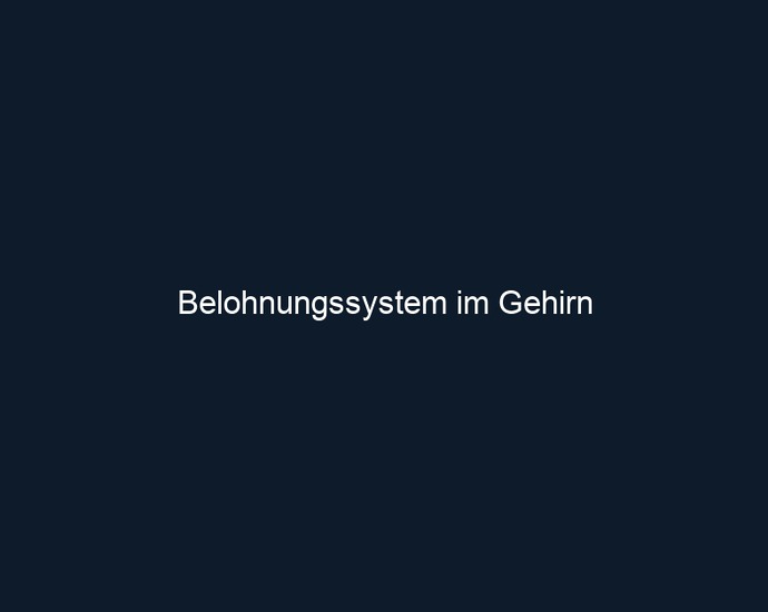 Belohnungssystem im Gehirn