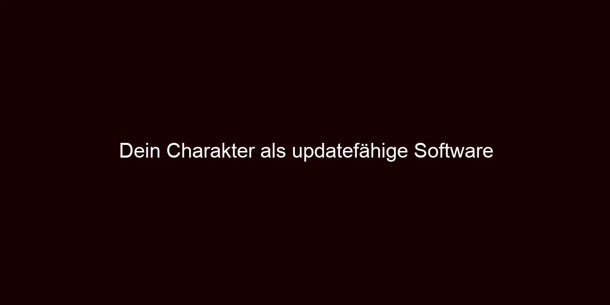 Dein Charakter als updatefähige Software