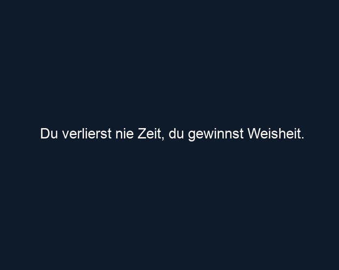 Du verlierst nie Zeit, du gewinnst Weisheit.