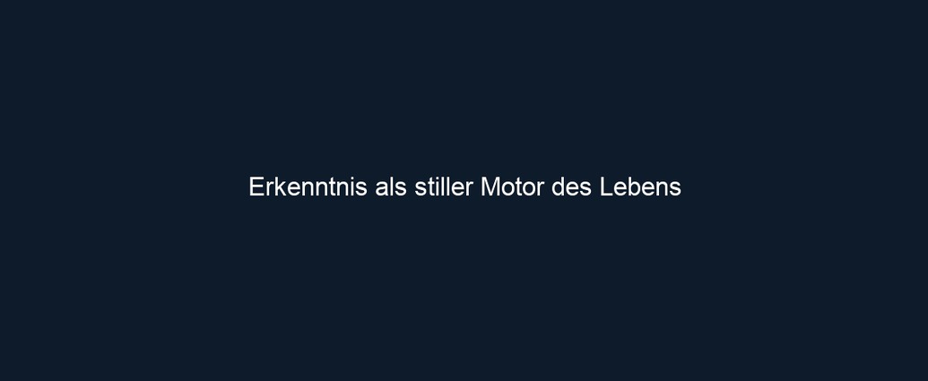 Erkenntnis als stiller Motor des Lebens