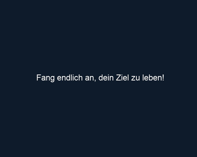 Fang endlich an, dein Ziel zu leben!