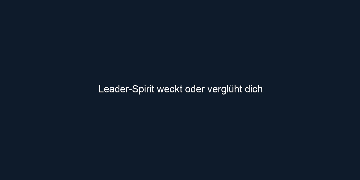 Leader Spirit weckt oder verglüht dich