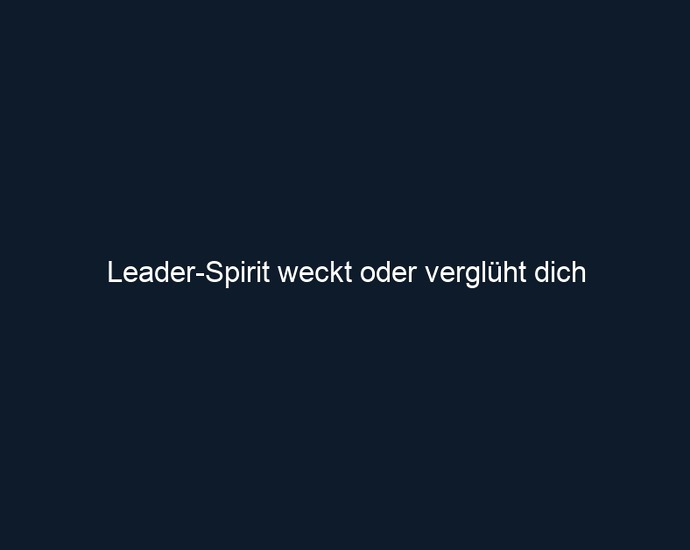 Leader Spirit weckt oder verglüht dich