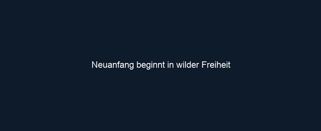 Neuanfang beginnt in wilder Freiheit