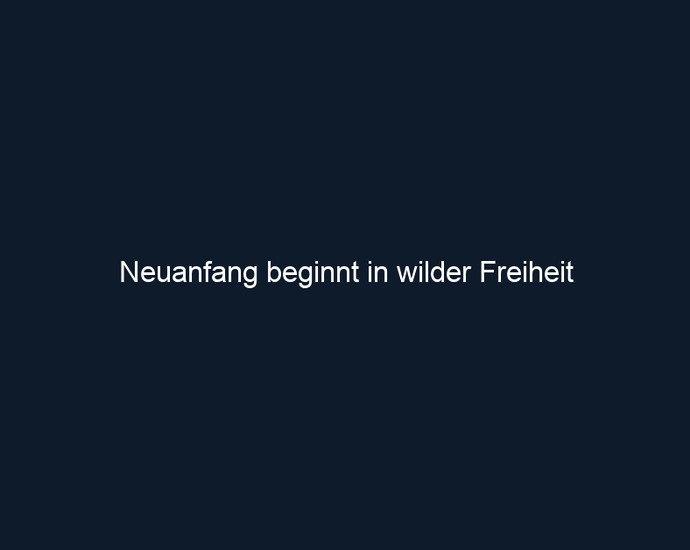 Neuanfang beginnt in wilder Freiheit