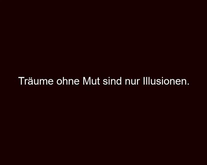 Träume ohne Mut sind nur Illusionen.