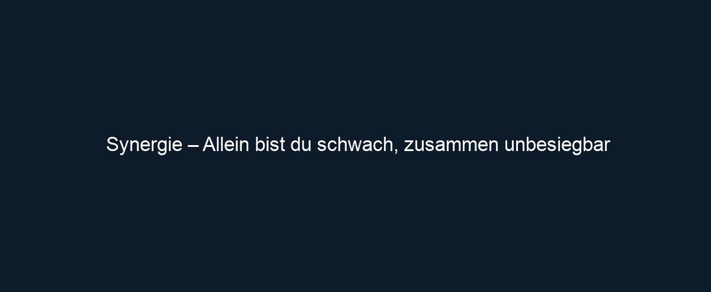 Synergie – Allein bist du schwach, zusammen unbesiegbar