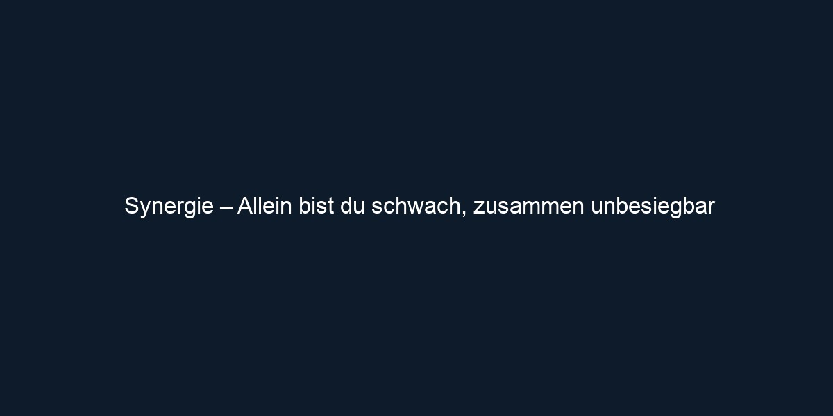 Synergie – Allein bist du schwach, zusammen unbesiegbar