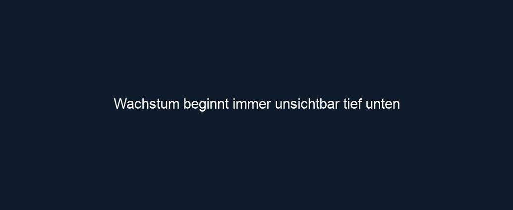 Wachstum beginnt immer unsichtbar tief unten