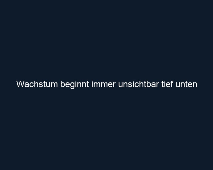Wachstum beginnt immer unsichtbar tief unten