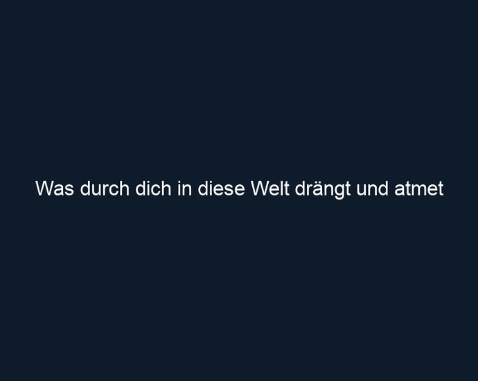 Was durch dich in diese Welt drängt und atmet