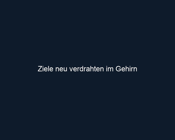 Ziele neu verdrahten im Gehirn 